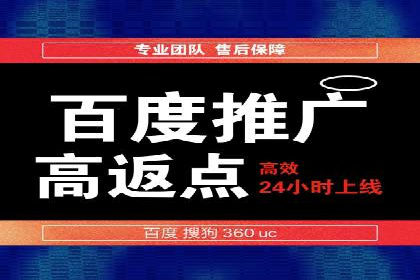 成功运用SEM技术提升网站流量的案例研究